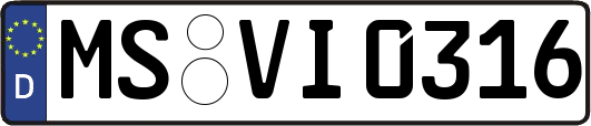 MS-VI0316