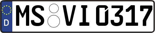 MS-VI0317