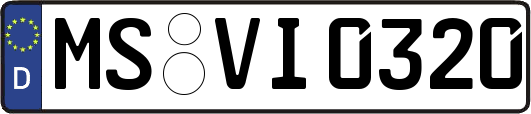 MS-VI0320