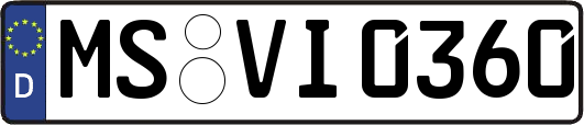MS-VI0360