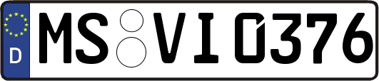 MS-VI0376