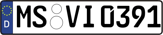 MS-VI0391