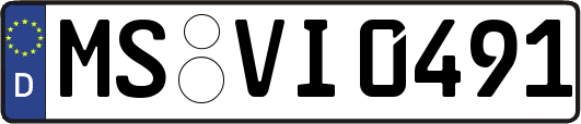 MS-VI0491