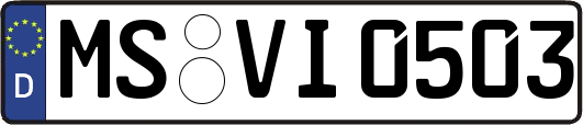 MS-VI0503