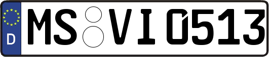 MS-VI0513