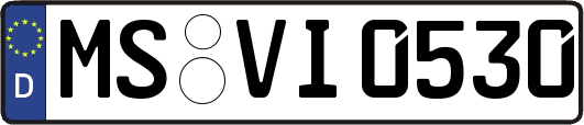 MS-VI0530