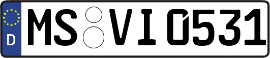 MS-VI0531