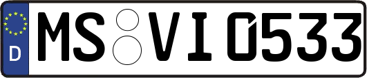 MS-VI0533