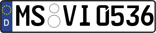 MS-VI0536