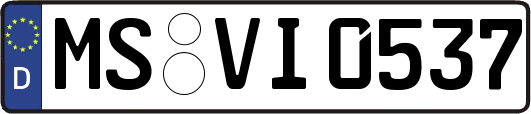 MS-VI0537