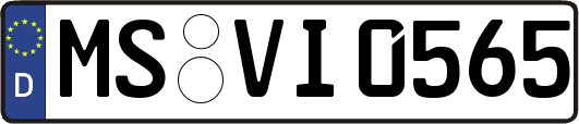 MS-VI0565