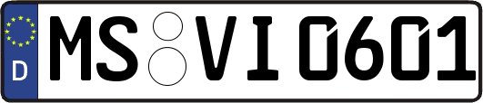 MS-VI0601
