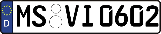MS-VI0602