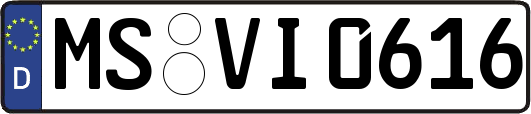 MS-VI0616