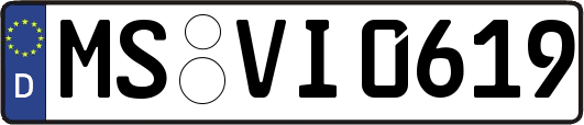 MS-VI0619
