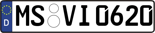 MS-VI0620