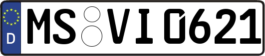 MS-VI0621