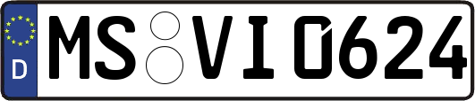 MS-VI0624