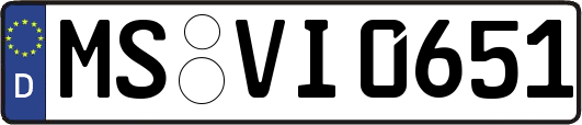 MS-VI0651