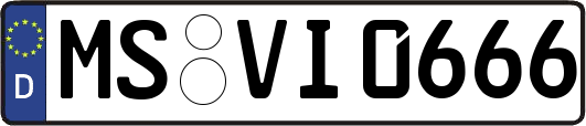 MS-VI0666