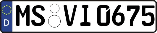 MS-VI0675