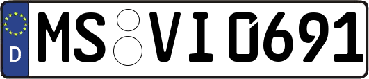 MS-VI0691