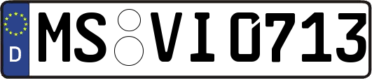 MS-VI0713