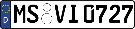 MS-VI0727