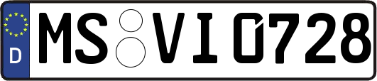 MS-VI0728