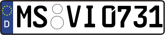 MS-VI0731