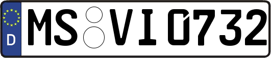 MS-VI0732