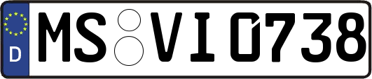 MS-VI0738