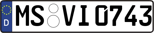 MS-VI0743