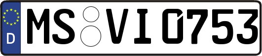 MS-VI0753