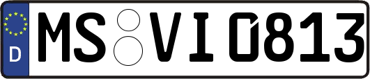 MS-VI0813