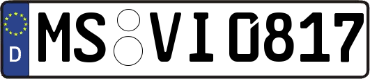 MS-VI0817