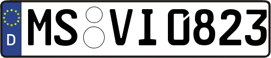 MS-VI0823