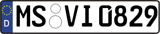 MS-VI0829