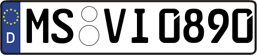 MS-VI0890