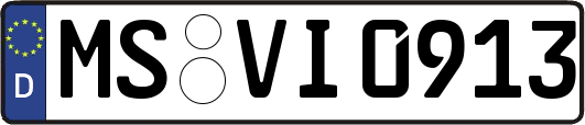 MS-VI0913