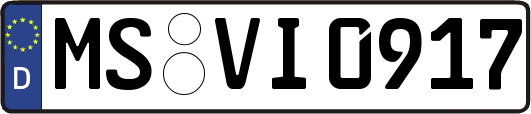 MS-VI0917