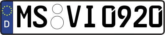MS-VI0920