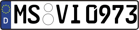 MS-VI0973