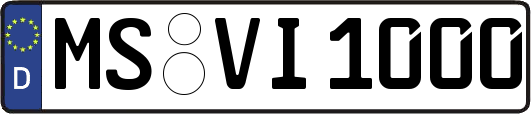 MS-VI1000