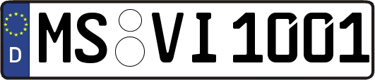 MS-VI1001