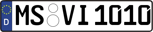 MS-VI1010