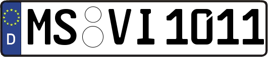 MS-VI1011