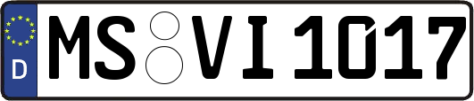 MS-VI1017