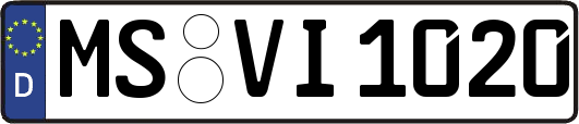 MS-VI1020