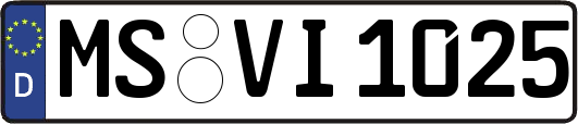 MS-VI1025